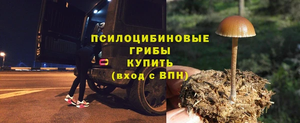 дмт Балабаново