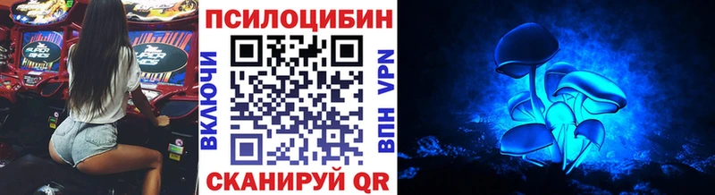 Псилоцибиновые грибы Psilocybine cubensis Заозёрск