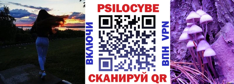 цена наркотик  мориарти телеграм  Галлюциногенные грибы Cubensis  Заозёрск  KRAKEN ТОР 